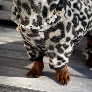 K&ouml;nnte beinhalten: Ein kleiner Hund tr&auml;gt einen schwarzen und wei&szlig;en Leopardenfell-Fleece-Overall mit einer goldenen Kette und einer Halskette aus wei&szlig;en und gr&uuml;nen Steinen.