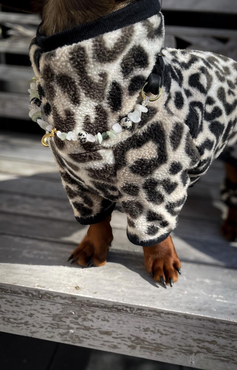 K&ouml;nnte beinhalten: Ein kleiner Hund tr&auml;gt einen schwarzen und wei&szlig;en Leopardenfell-Fleece-Overall mit einer goldenen Kette und einer Halskette aus wei&szlig;en und gr&uuml;nen Steinen.