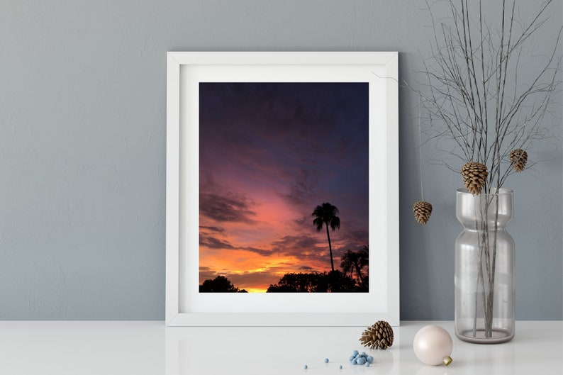 Purple and Pink Sky With Palm Tree Sunset. Exquisite Burst of - Etsy