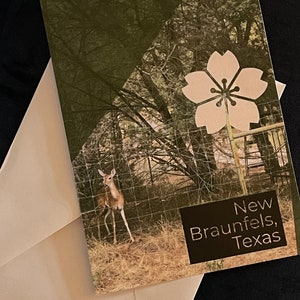 New Braunfels, Texas postcard