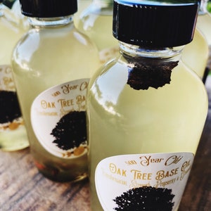 500 Year Old Oak Tree Transformation Base Oil