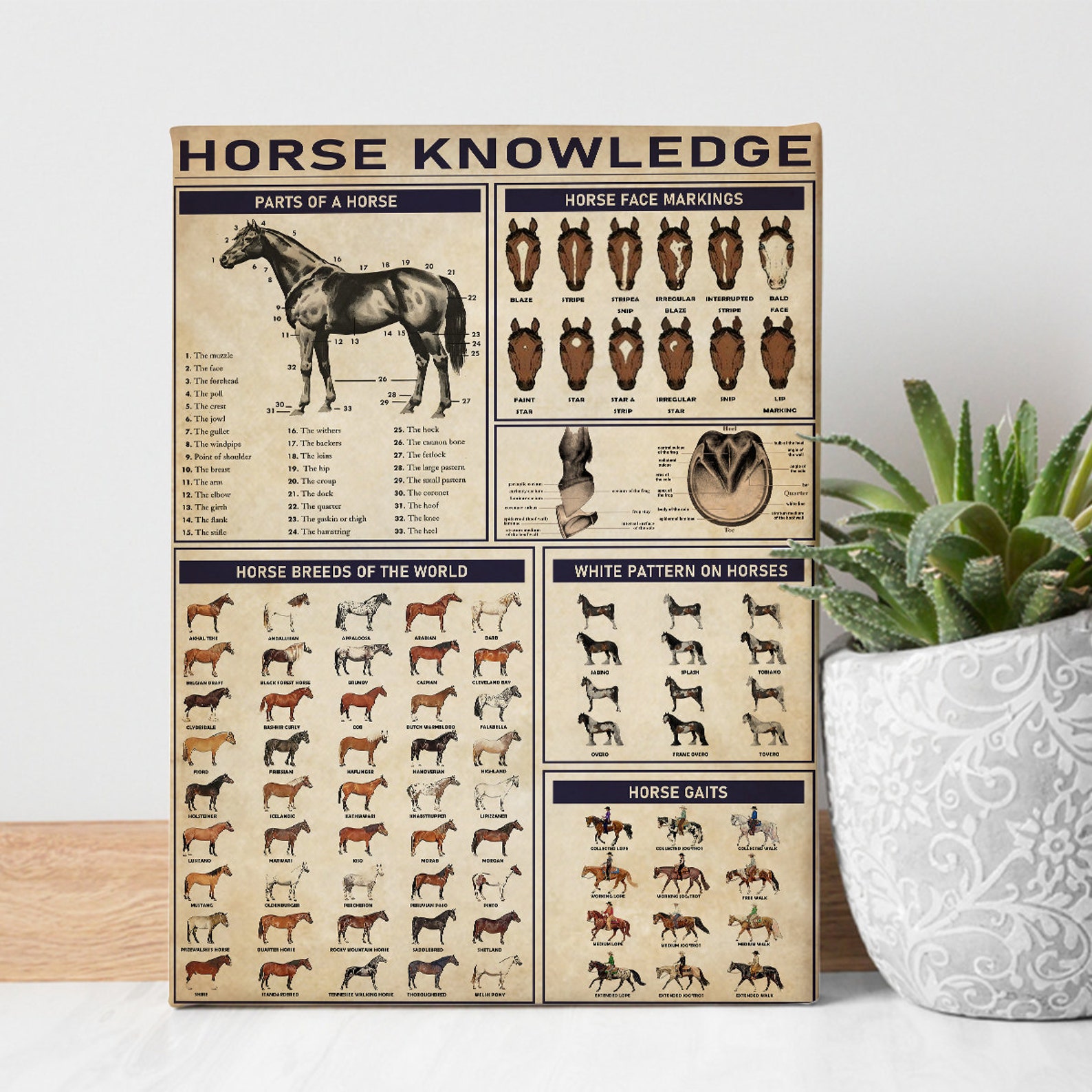 Horse Knowledge Poster Vintage Poster Horse Decor Poster Etsy