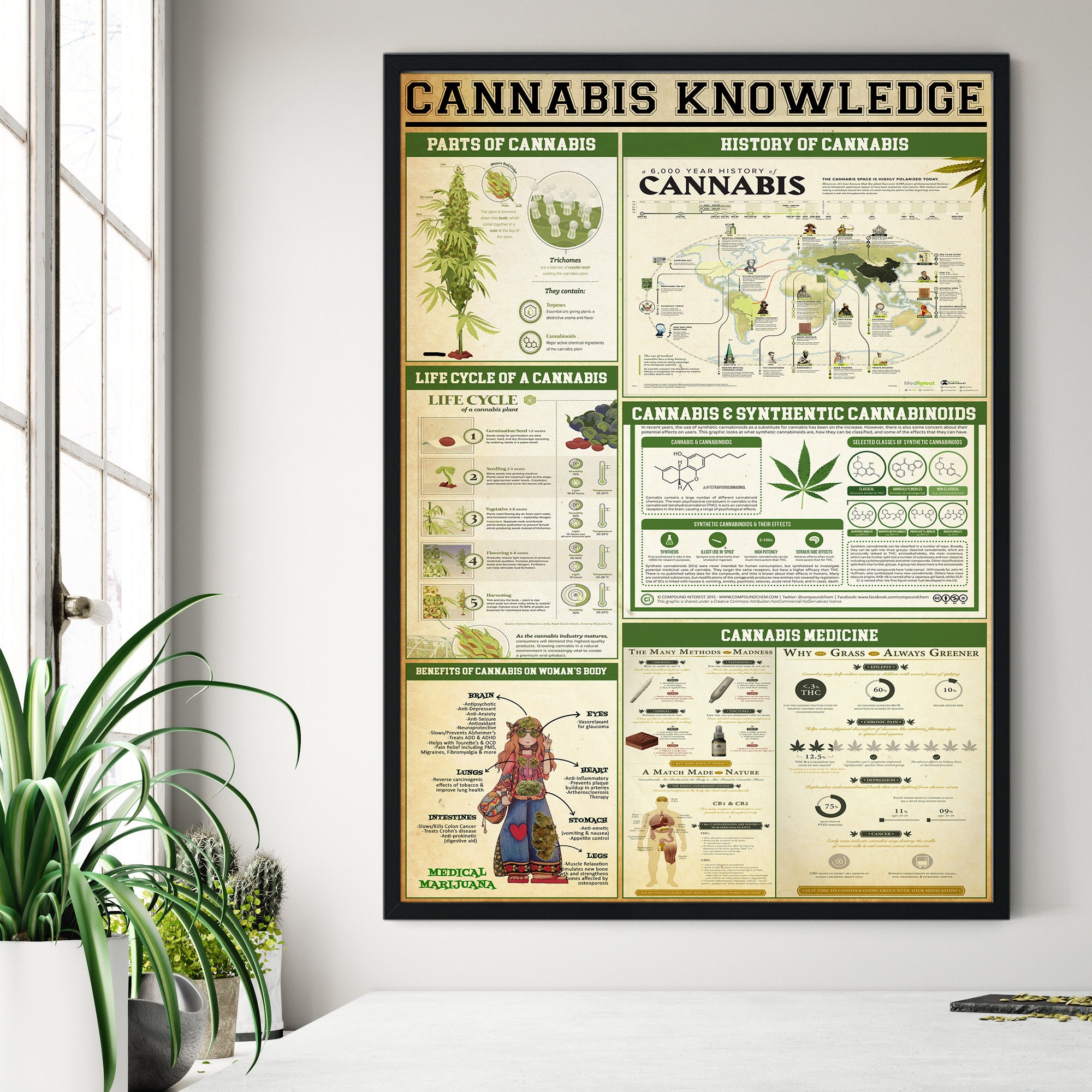 Cannabis Knowledge Poster Marijuana knowledge Vintage Poster Etsy
