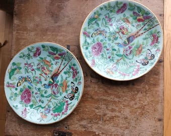 Antique - A Pair of Chinese, Celadon Ground Famille Rose, Medium Plates - Beautiful Bird, Butterflies,Flowers,Fruits and Foliage 19 Century