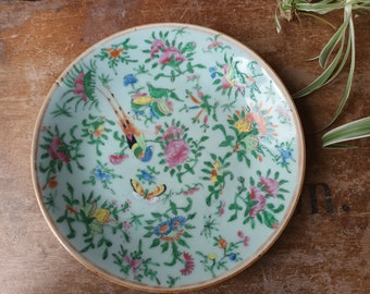 Antique - Chinese, Celadon Ground Famille Rose, Medium Plate - Beautiful Bird, Butterflies,Flowers,Fruits and Foliage 19 Century.