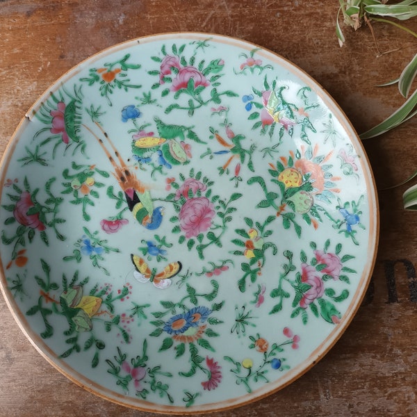 Antique - Chinese, Celadon Ground Famille Rose, Medium Plate - Beautiful Bird, Butterflies,Flowers,Fruits and Foliage 19 Century.