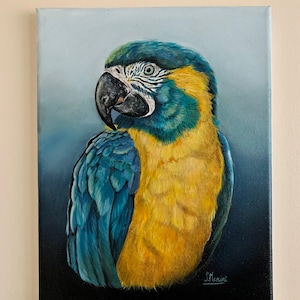 Blue Macaw Painting, Original Wildlife Art, Hand-Painted Exotic Bird Wall Decor, Tropical Nature Canvas, Parrot Lover Gift