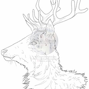 Printable Stag Coloring Page, Intricate Deer Line Art, Digital Download for Kids & Adults, DIY Paint and Color