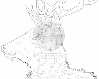 Printable Stag Coloring Page, Intricate Deer Line Art, Digital Download for Kids & Adults, DIY Paint and Color