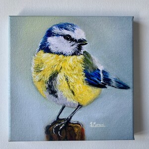 Impressão azul do melharuco | Impressão em tela | Pássaro britânico | Arte Pássaro | Presente do amante do pássaro | Ilustração de chapim azul | arte de parede de pássaros | Arte da Vida Selvagem | Pássaro azul