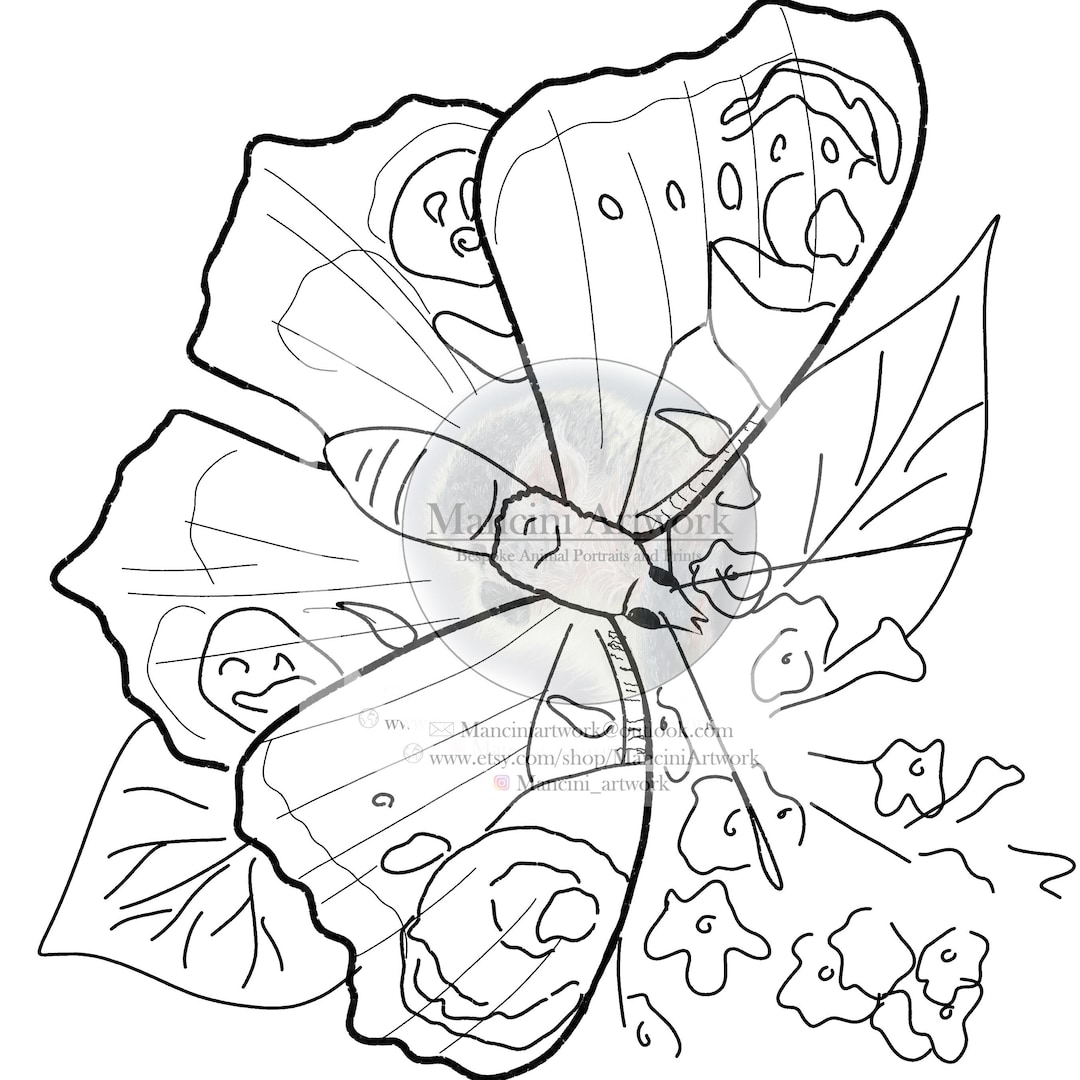 Printable Peacock Butterfly Coloring Page, Intricate Nature Line Art ...