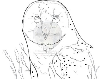 Printable Barn Owl Coloring Page, Detailed Nocturnal Bird Line Art, Digital Download for Kids & Adults, DIY Paint and Color