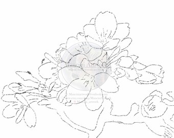 Printable Apple Blossom Coloring Page, Intricate Flower Line Art, Digital Download for Kids & Adults, DIY Paint and Color