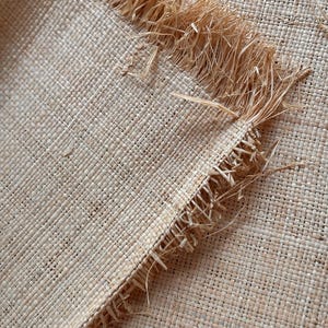 May include: Close-up of a woven natural fibre textile with a fringed edge. The fabric has a tight, square weave in a light beige colour. The fringed edge is made of loose, straw-like fibres.