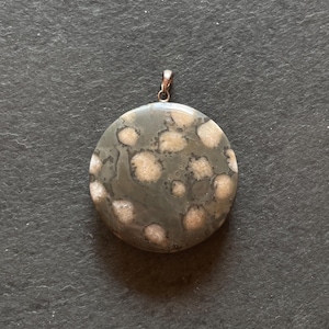 Fossil coral from Bavaria, Germany