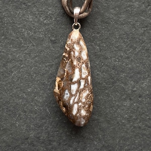 Fossil wood with chalcedony crystals from Sardinia, Italy
