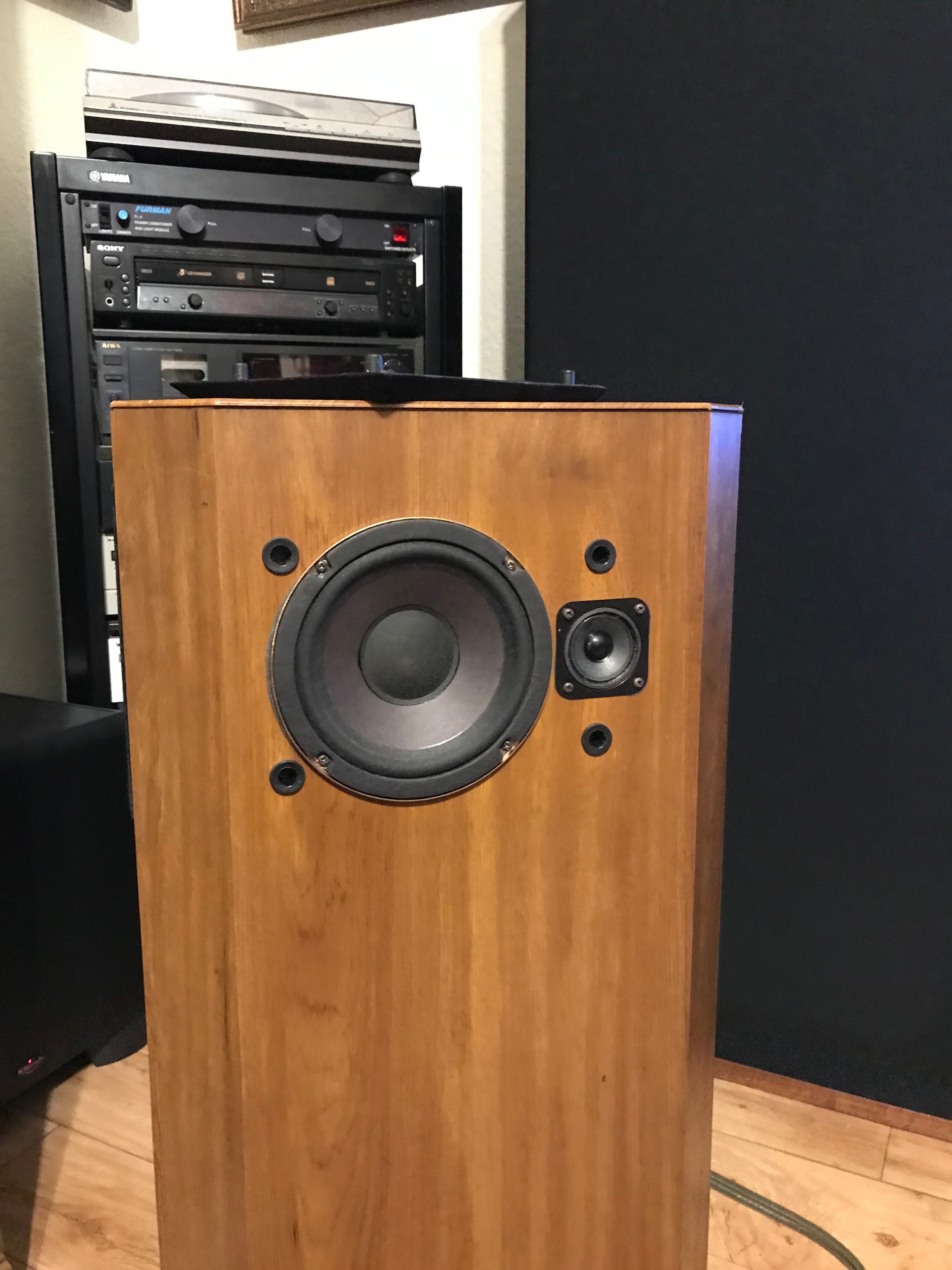 Mod udsultet Benign Retro Bose 401 Direct Reflecting Speakers Restored local - Etsy