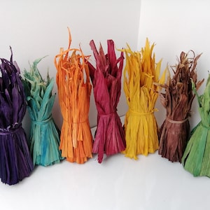 Dried Corn Husk
