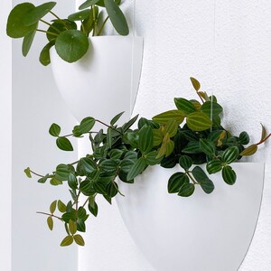 Modern and Minimalist Hanging Planter, Indoor Planter with Color Options, Eco Friendly Gift