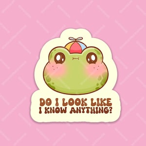 May include: A sticker featuring a cartoon frog wearing a colourful hat with a propeller. The frog has a surprised expression and the text "Do I look like I know anything?" is written below the frog.
