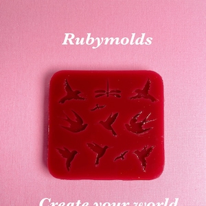 Può includere: Stampo in silicone rosso con una libellula e diverse forme di uccelli. Lo stampo è su uno sfondo rosa con il testo "Ruby molds" e "Create your world".