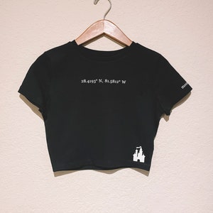 Cinderella&#39;s Castle Coordinates shirt or Crop Top