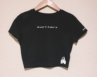 Cinderella's Castle Coordinates shirt or Crop Top