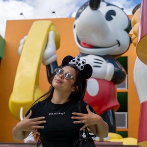 got Mickey shirt or crop top