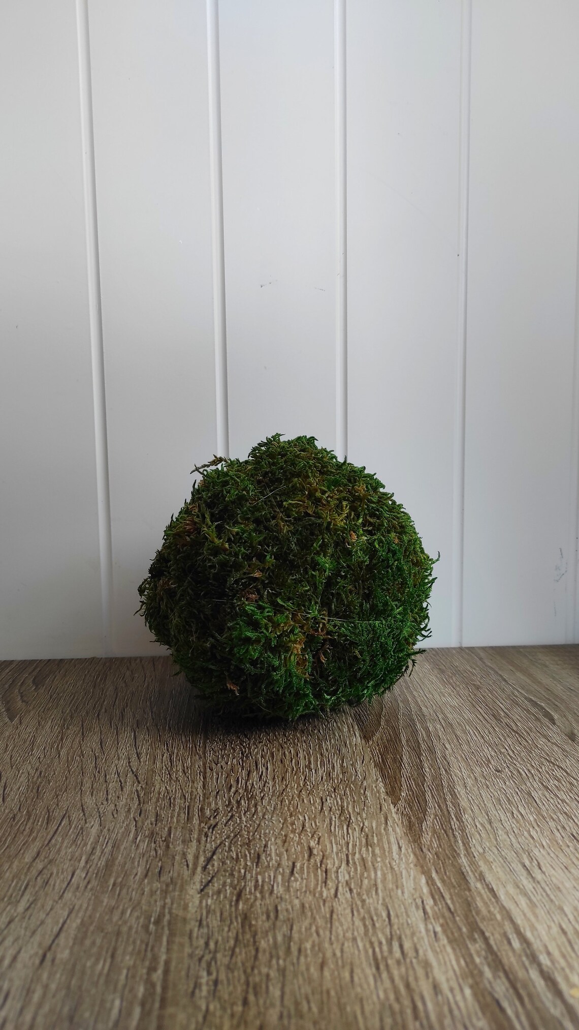 Moss ball moss decor rustic decor natural decor farm house Etsy