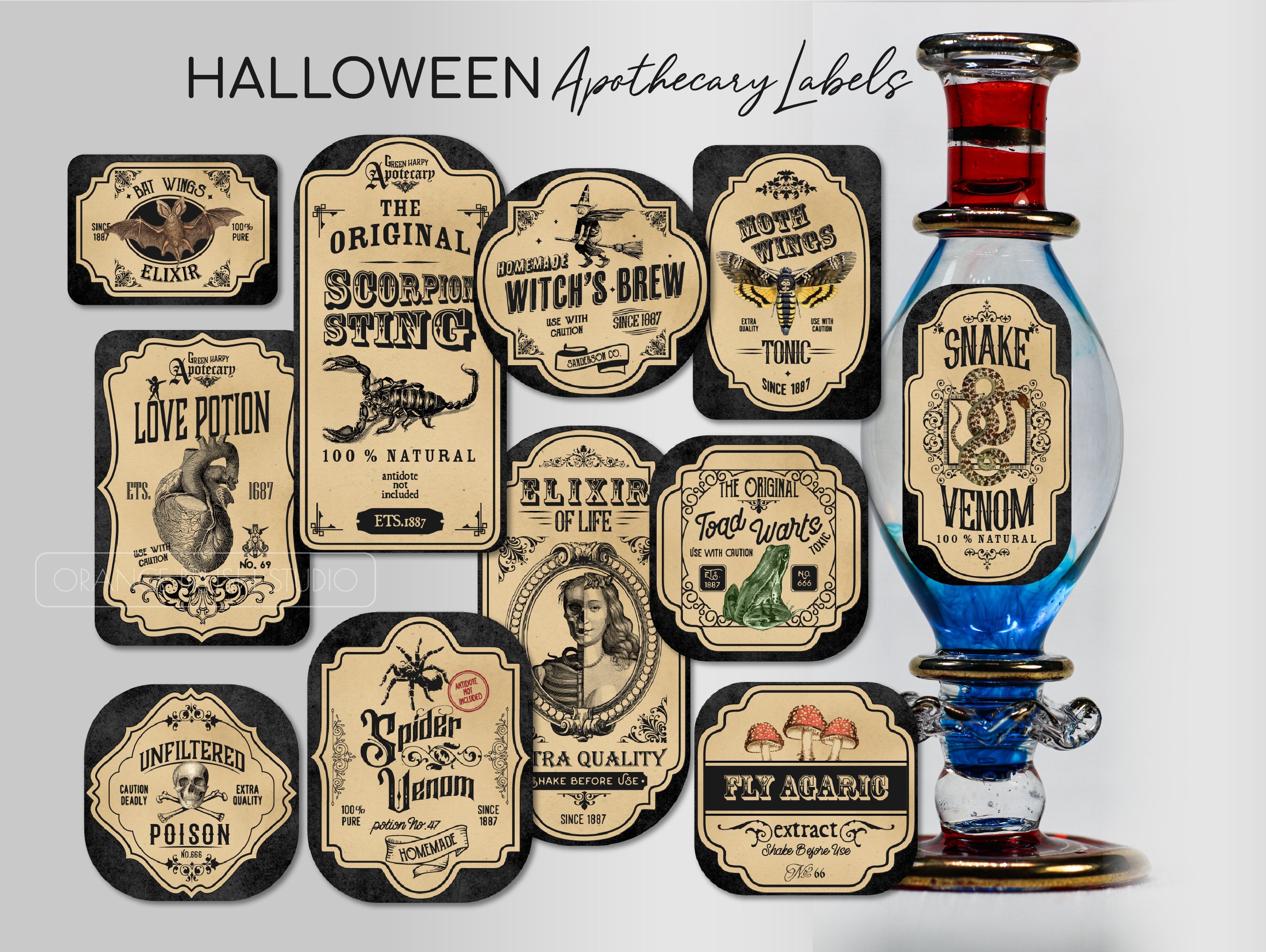 Witch Apothecary Labels, Halloween Potion Bottle Labels, Halloween ...