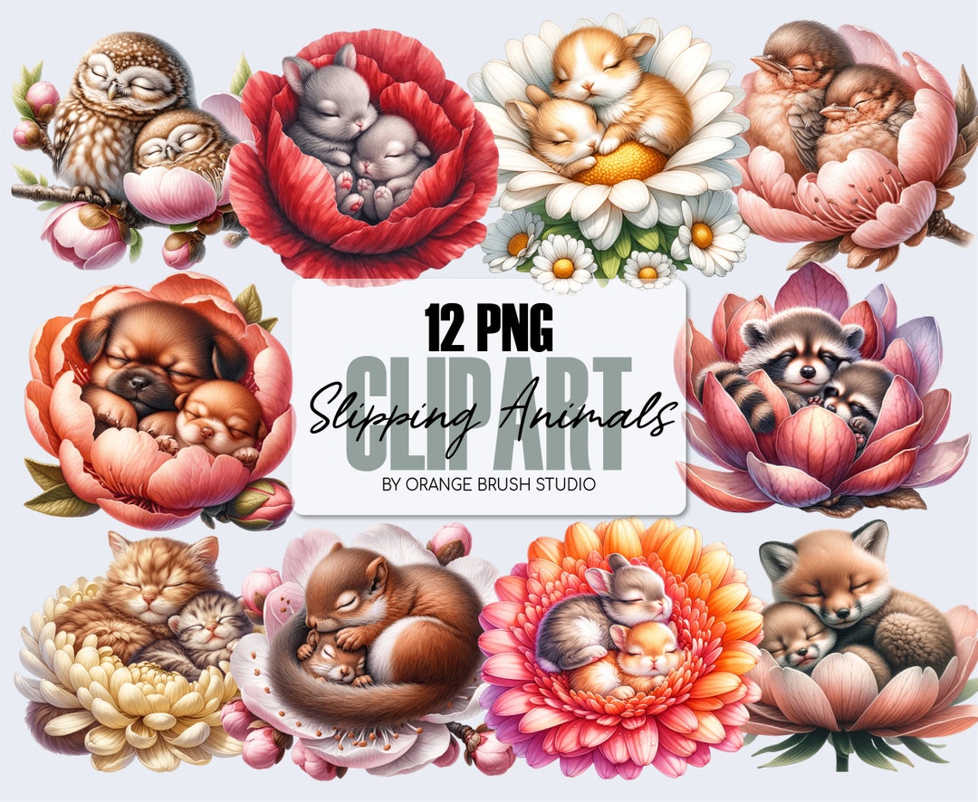 Cute Baby Animals Clipart, Mother's Day Clipart, Mom and Baby PNG for ...