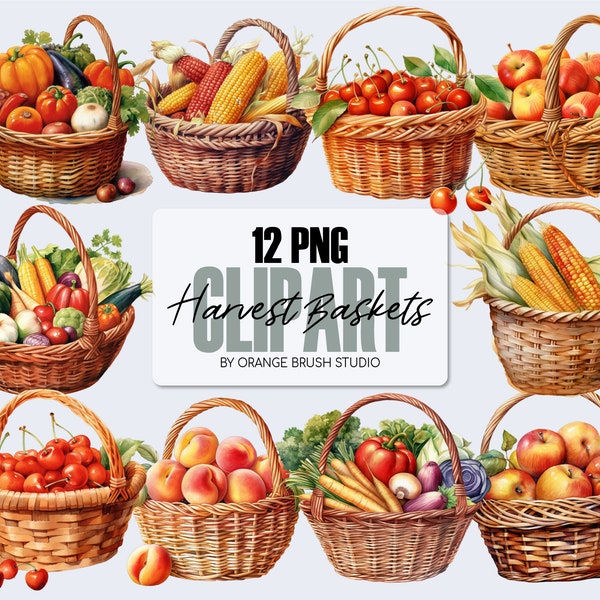 Herbst Ernte Clipart Bundle, Aquarell Herbst Clipart PNG. Herbst Sublimations Bundle, Thanksgiving Clipart - Digital Download