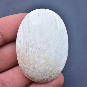 May include: An oval-shaped, polished gemstone with a white and beige color gradient. The stone has a smooth, glossy surface with a pattern of fine lines radiating from the base. The gemstone is held in a hand against a gray background.