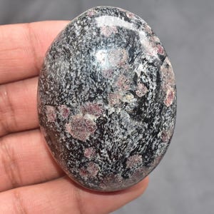 以下が含まれることがあります： 磨かれた楕円形の石。黒を基調とし、グレーと赤みがかったピンクの斑点模様。表面は滑らかで光沢があり、手触りが良い。石の形は楕円形で、手に馴染むように磨かれている。