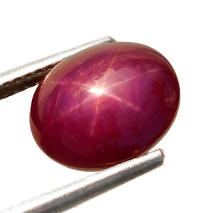 May include: A polished, oval-shaped ruby gemstone, held by silver tweezers. The ruby is a deep, rich red color with a six-ray star effect visible on its surface. The gemstone is set against a clean white background.