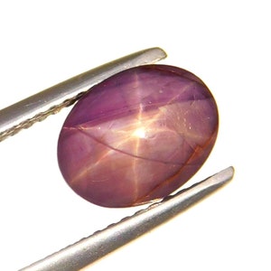 Peut inclure: Une pierre précieuse de type rubis étoilé, de forme ovale, polie, tenue par une pince. La pierre est d'un rouge-violet profond avec un motif en étoile à six rayons visible. La pince est argentée.