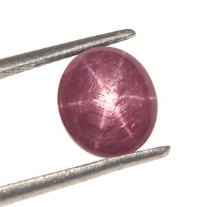 Può includere: Una pietra preziosa di rubino stellato rosa con una stella a sei punte al centro, tenuta da una pinzetta.