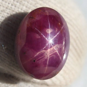 Very Rare Natural Star Ruby 12.00 Ct | 13x10x8 mm | Untreated Corundum | Collector’s Gemstone for Fine Jewellery