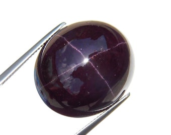 61.50 Ct Natural Star Garnet Cabochon | Untreated Red Gemstone