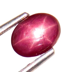 May include: A polished, oval-shaped ruby gemstone with a six-ray star effect. The gem is a deep, rich red color, held by silver tweezers against a white background. The star effect is visible across the surface.
