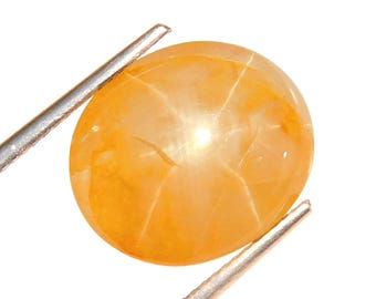 Gelber Sternsaphir-Cabochon aus Burma | 12,47 Karat, 6 Strahlen | IGI-zertifiziert
