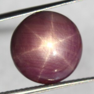 Könnte beinhalten: Ein sternförmiger Rubin-Edelstein im Cabochon-Schliff mit einem sechszackigen Stern in der Mitte. Der Rubin hat eine tiefrosa Farbe mit einem leichten violetten Schimmer.