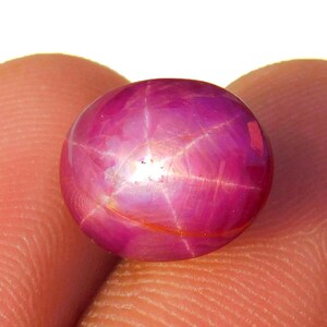 May include: A polished, round, star ruby gemstone. The gem is a deep pinkish-red color with a six-rayed star pattern across its surface. The stone is smooth and appears to be held between two fingers.