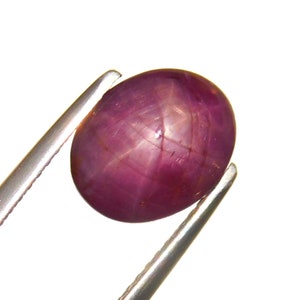 May include: A polished, oval star ruby gemstone, held by silver tweezers against a white backdrop. The ruby is a deep pinkish-red colour, displaying a star effect across its surface. The gem is a cabochon cut.