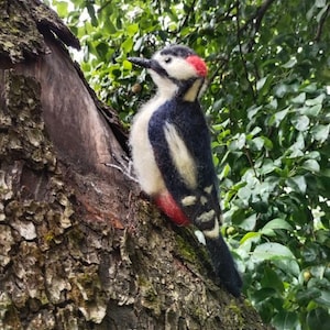 woodpecker, woolen woodpecker, felted woodpecker, woolen bird, felted bird. toy bird