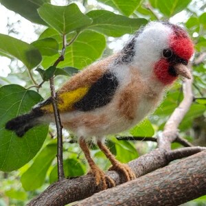 Goldfinch, woolen Goldfinch, felted Goldfinch, woolen bird, felted bird. toy bird