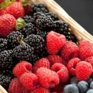 Organic Jam