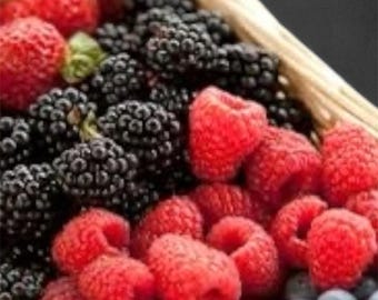Organic Berry Jelly: Farm Fresh, Non-GMO, 8oz Jar
