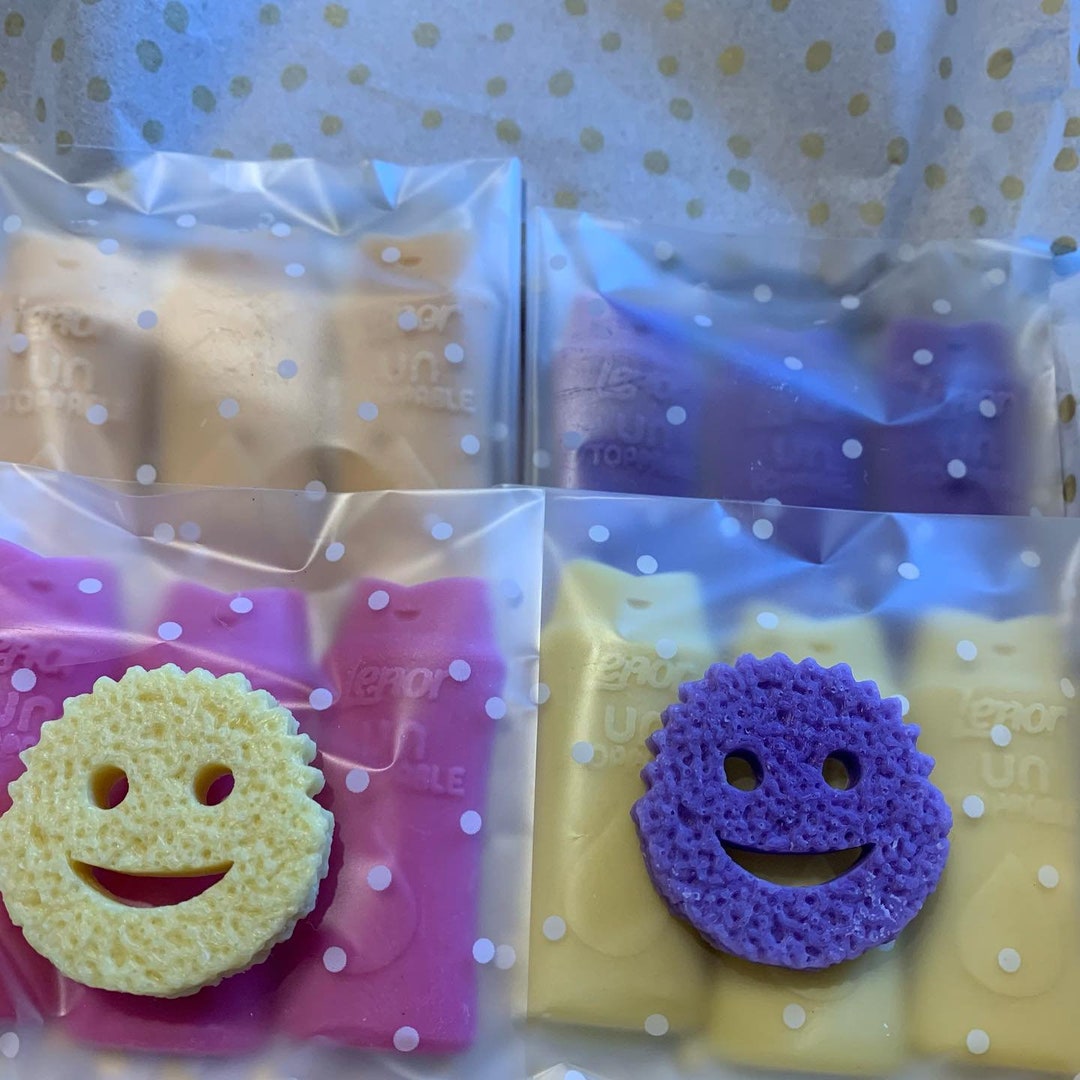 12 Lenor Unstoppables Inspired Wax Melts Etsy