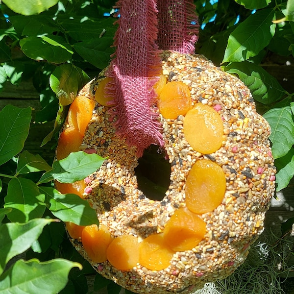 Bird Seed Wreath